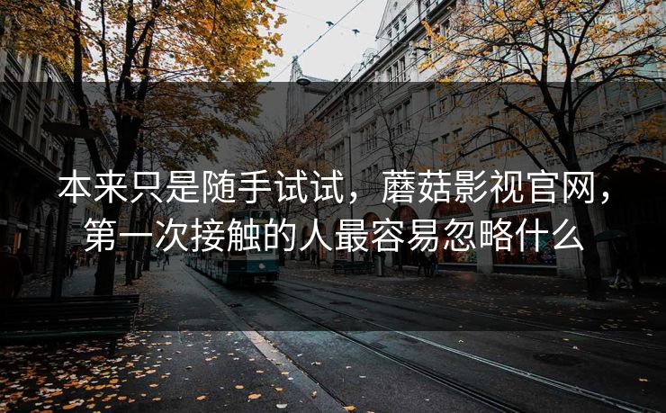 本来只是随手试试,蘑菇影视官网,第一次接触的人最容易忽略什么 本来只是随手试试,蘑菇影视官网,第一次接触的人最容易忽略什么